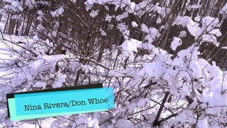 4K- Nina Rivera i Don Whoe świetnie się bawią na śniegu