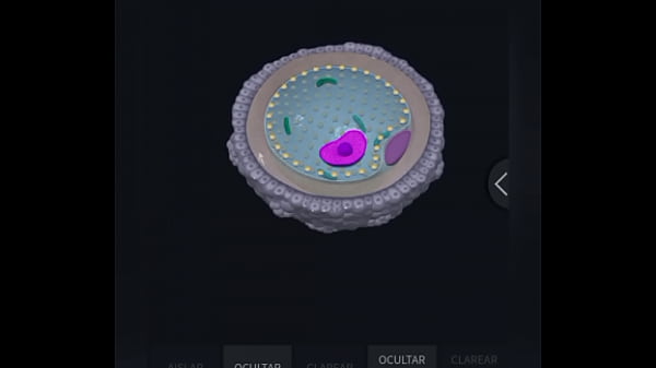 Co odróżnia mnie od kobiety